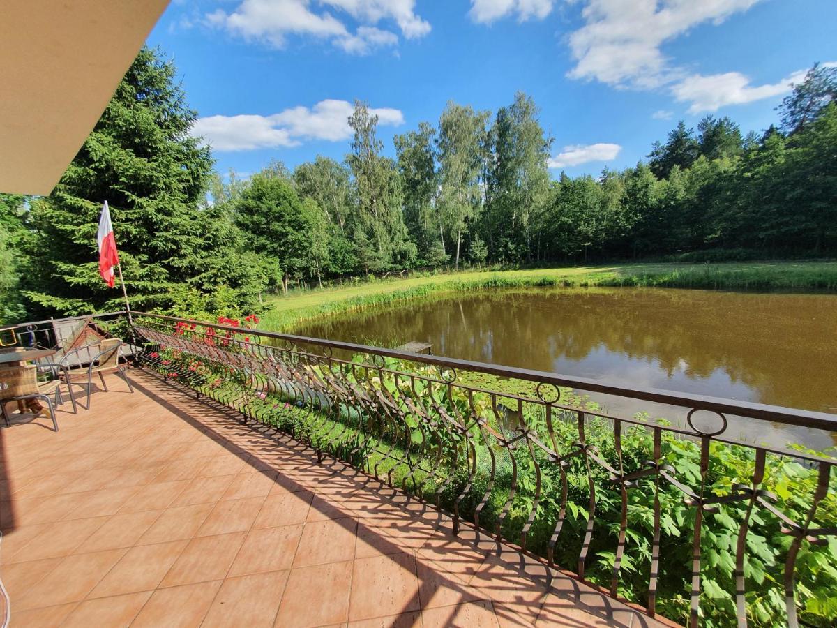 Agroturystyka Las I Woda Prazmow Luaran gambar