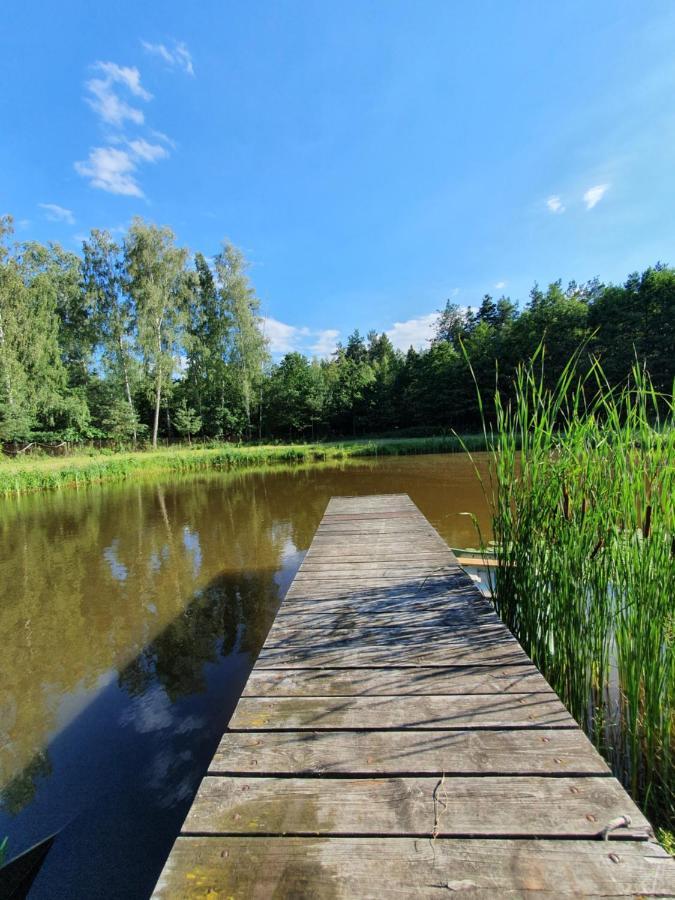 Agroturystyka Las I Woda Prazmow Luaran gambar